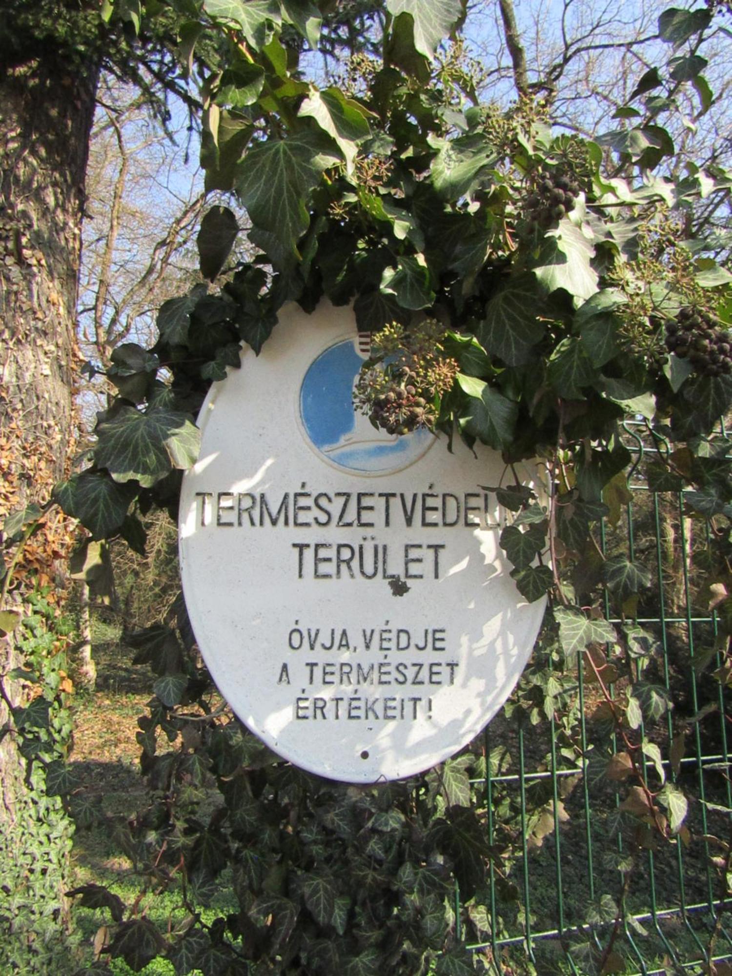 Festetich Kastelyszallo Es Zsuzsanna Hotel Szeleste 외부 사진